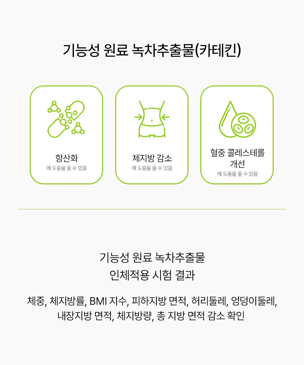 도시락 13