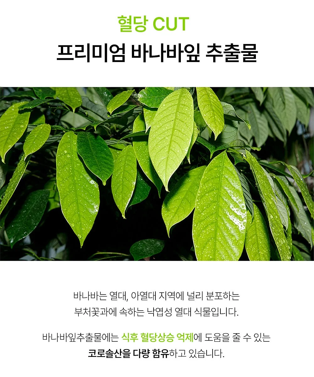 도시락 14