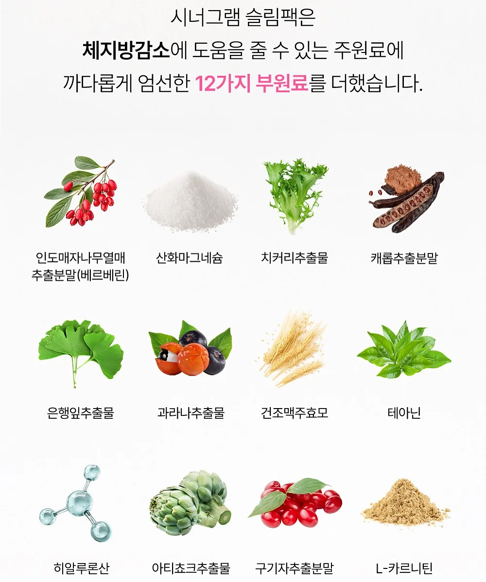 도시락 17