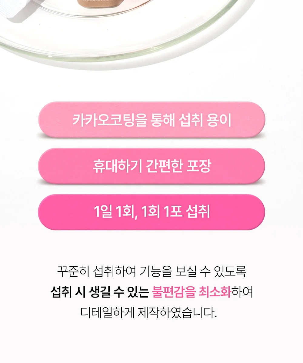 도시락 20