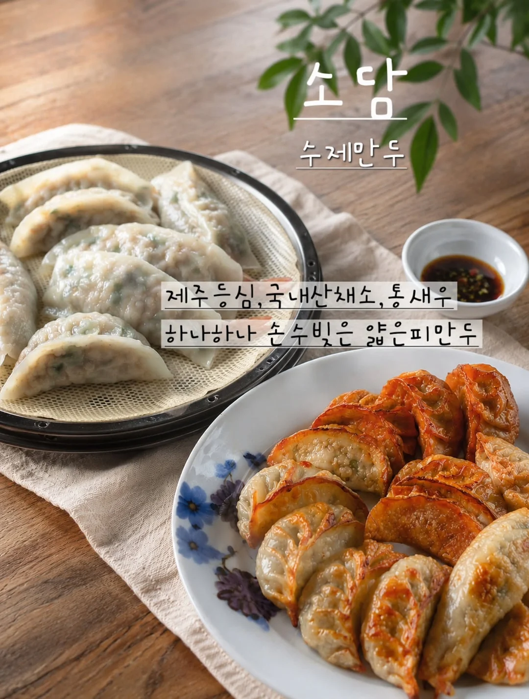 Bachaa 바챠 원피스/셋업 3