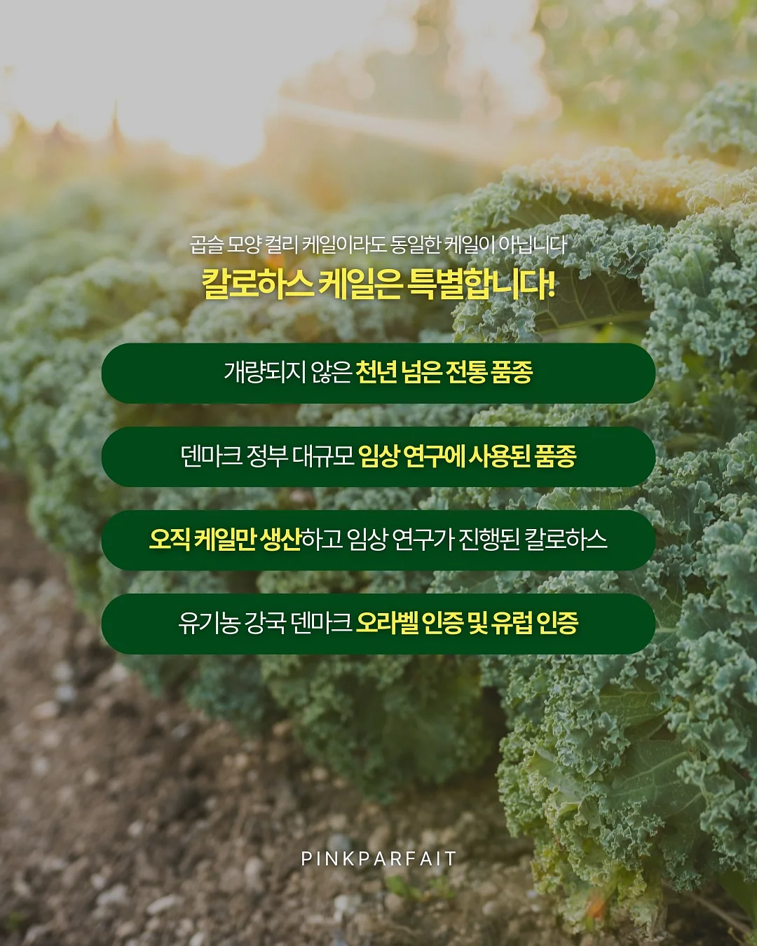 다이어트 코칭 2