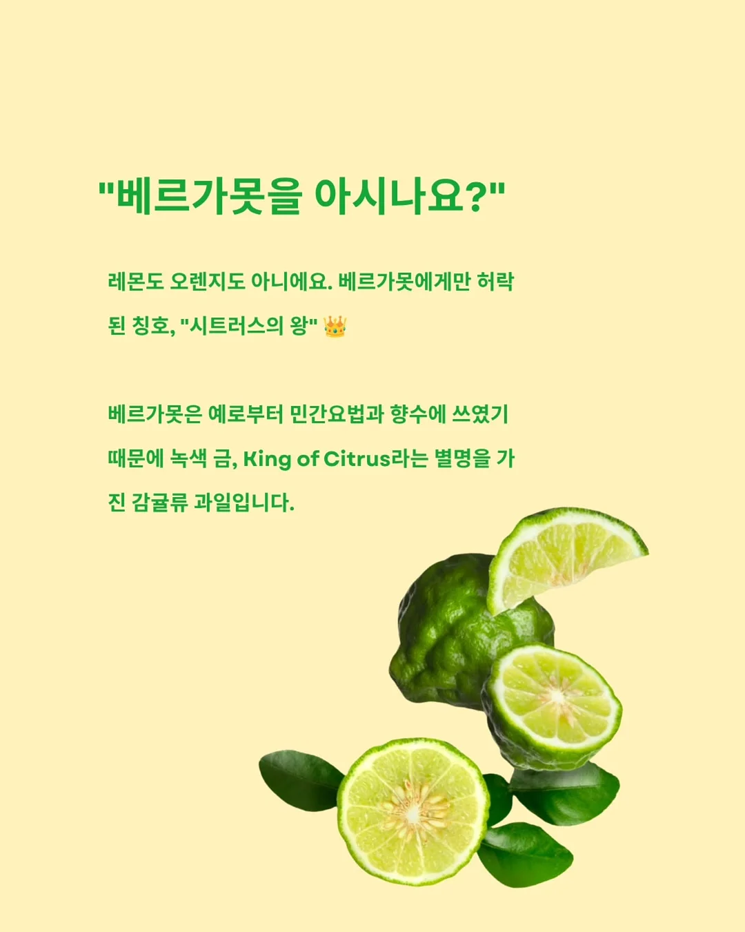 일체형 싱크대 식기세척기 8