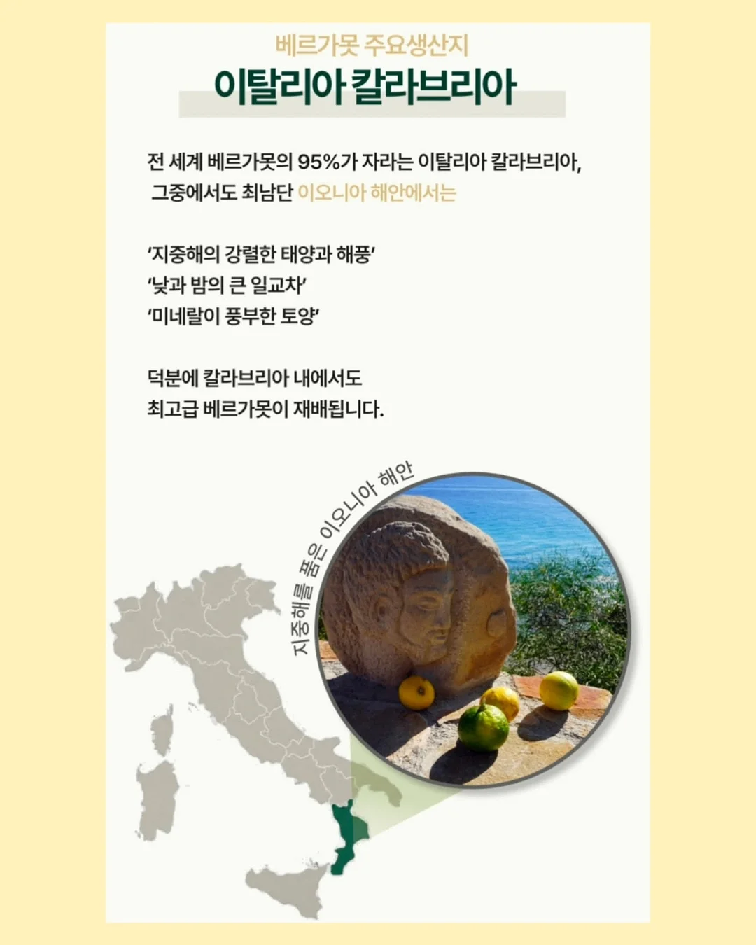 일체형 싱크대 식기세척기 10