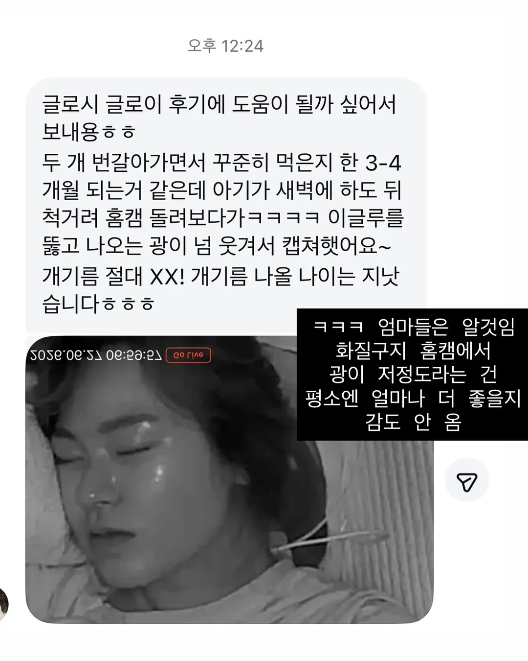 노넴백 DIY 패키지 10
