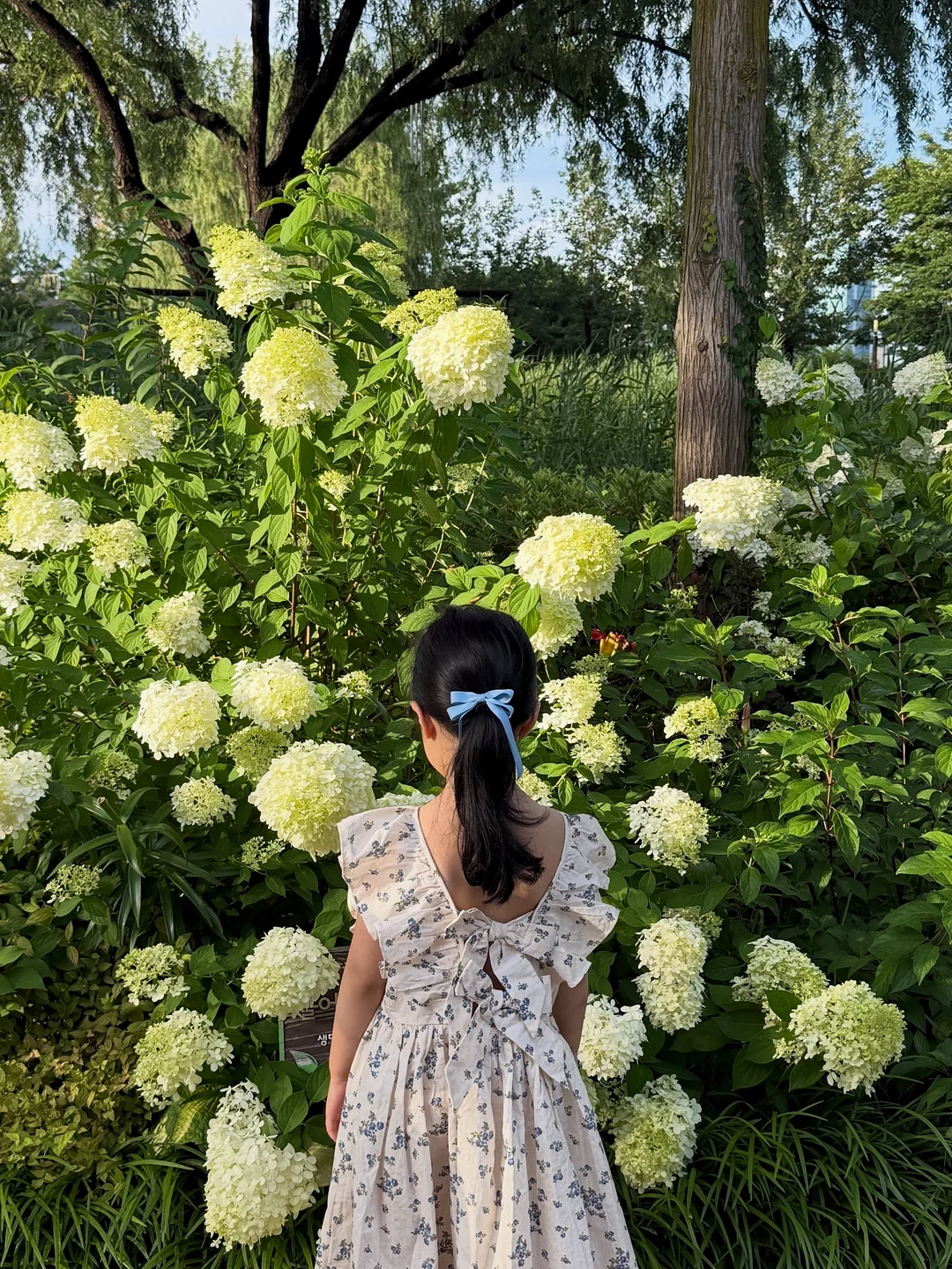 색지 명함 2