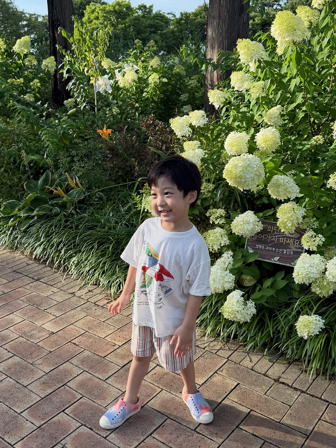 색지 명함 6