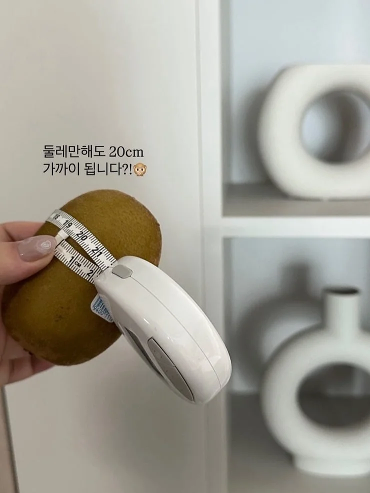 썬쉐이드 1