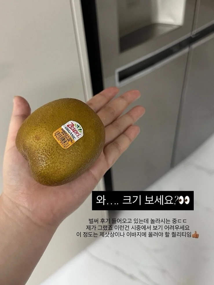 썬쉐이드 3