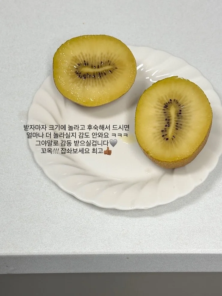 썬쉐이드 4