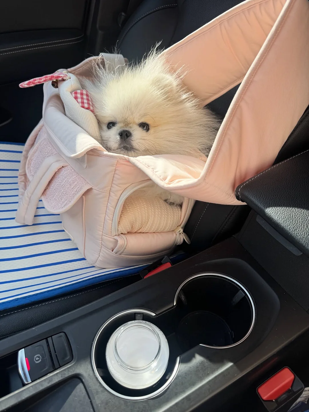 풀무원 디자인밀 식단 11