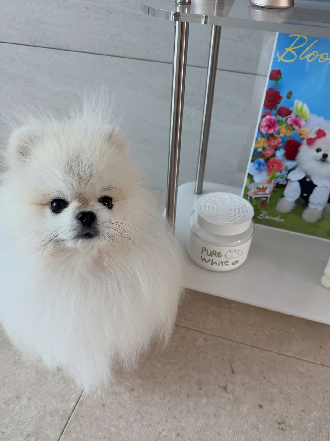 풀무원 디자인밀 식단 2