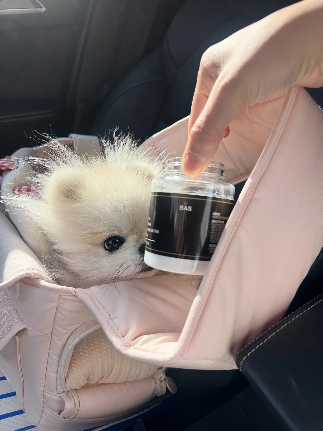 풀무원 디자인밀 식단 10