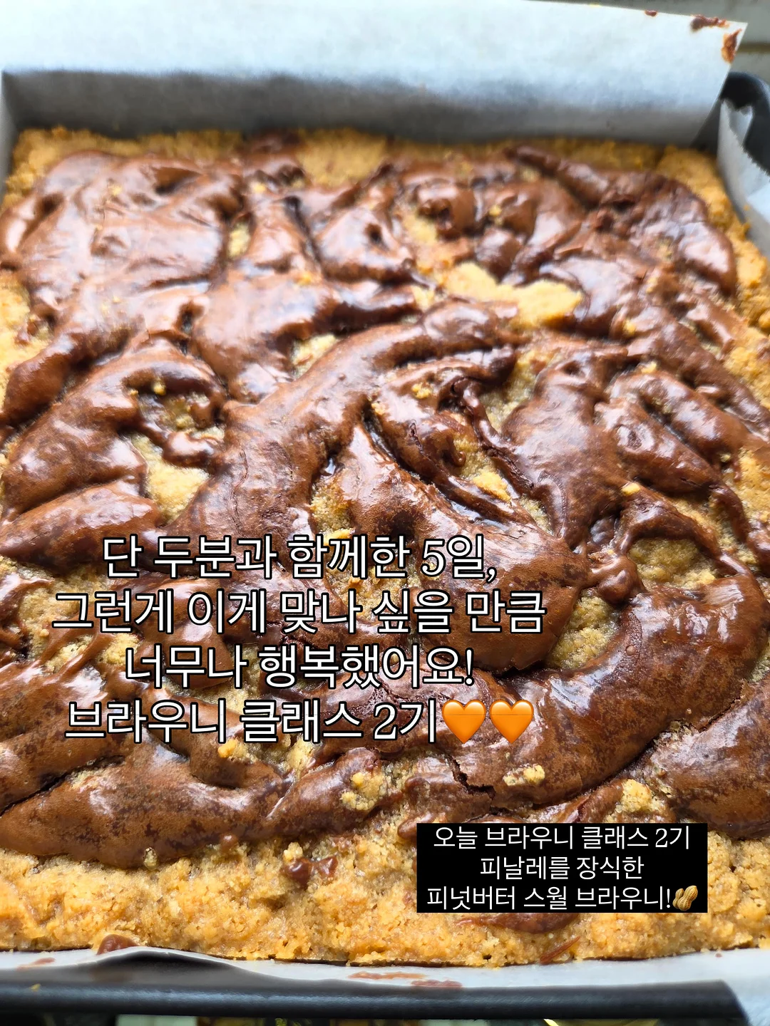 코케다마 & 이오난사 행잉플랜트 체험 1