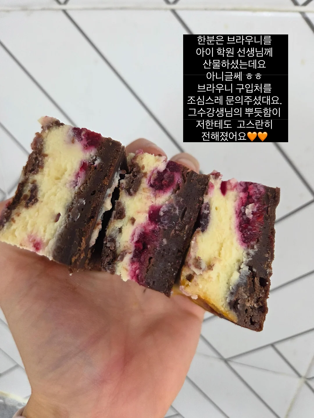 코케다마 & 이오난사 행잉플랜트 체험 5