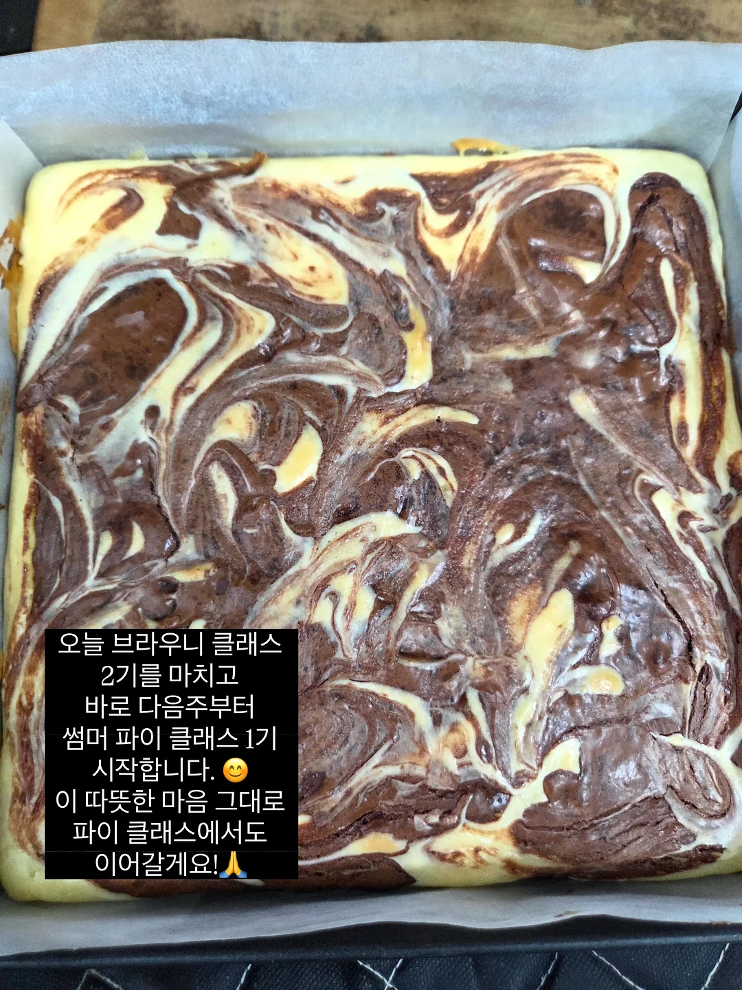 코케다마 & 이오난사 행잉플랜트 체험 6