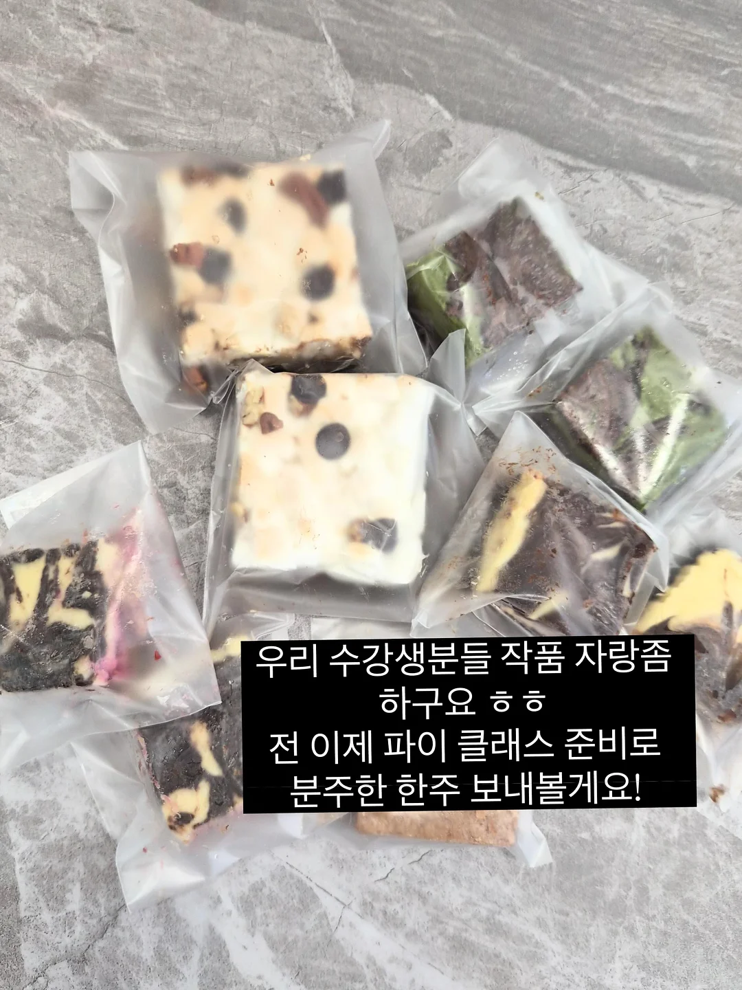 코케다마 & 이오난사 행잉플랜트 체험 10