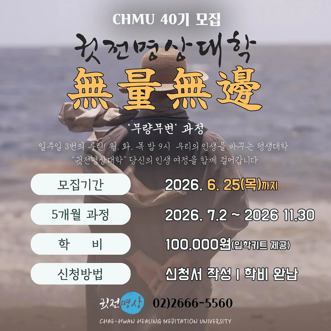 노벨랜드 자석블럭 원목 교구