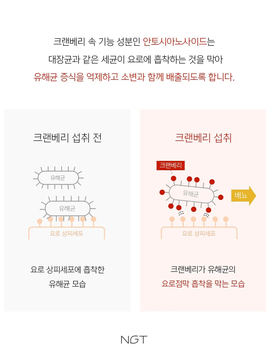 포항 풀빌라 영일 5