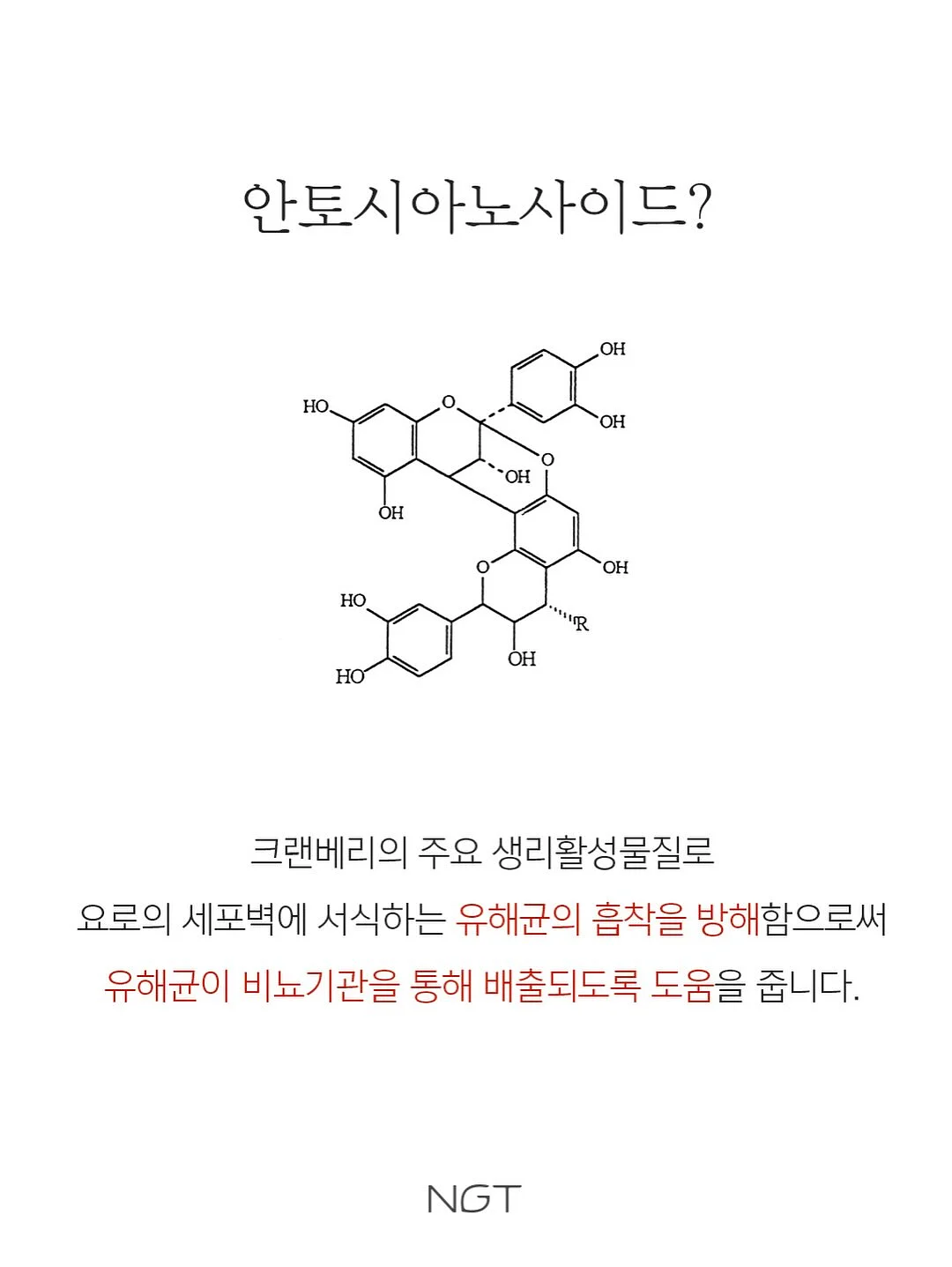 포항 풀빌라 영일 6