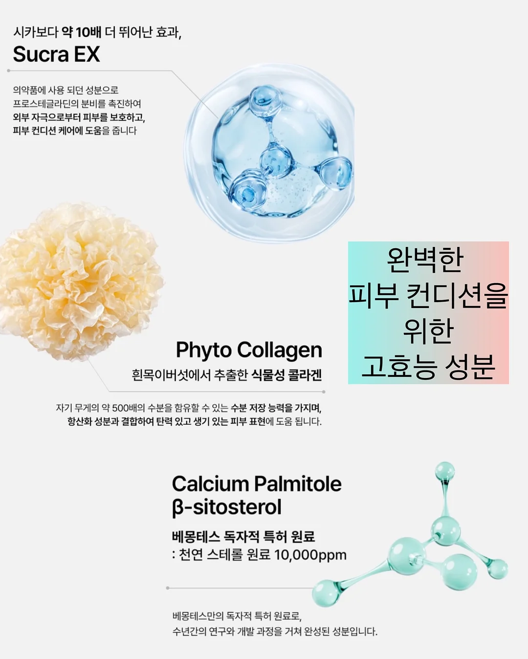 아기 장유산균&비타민D 4