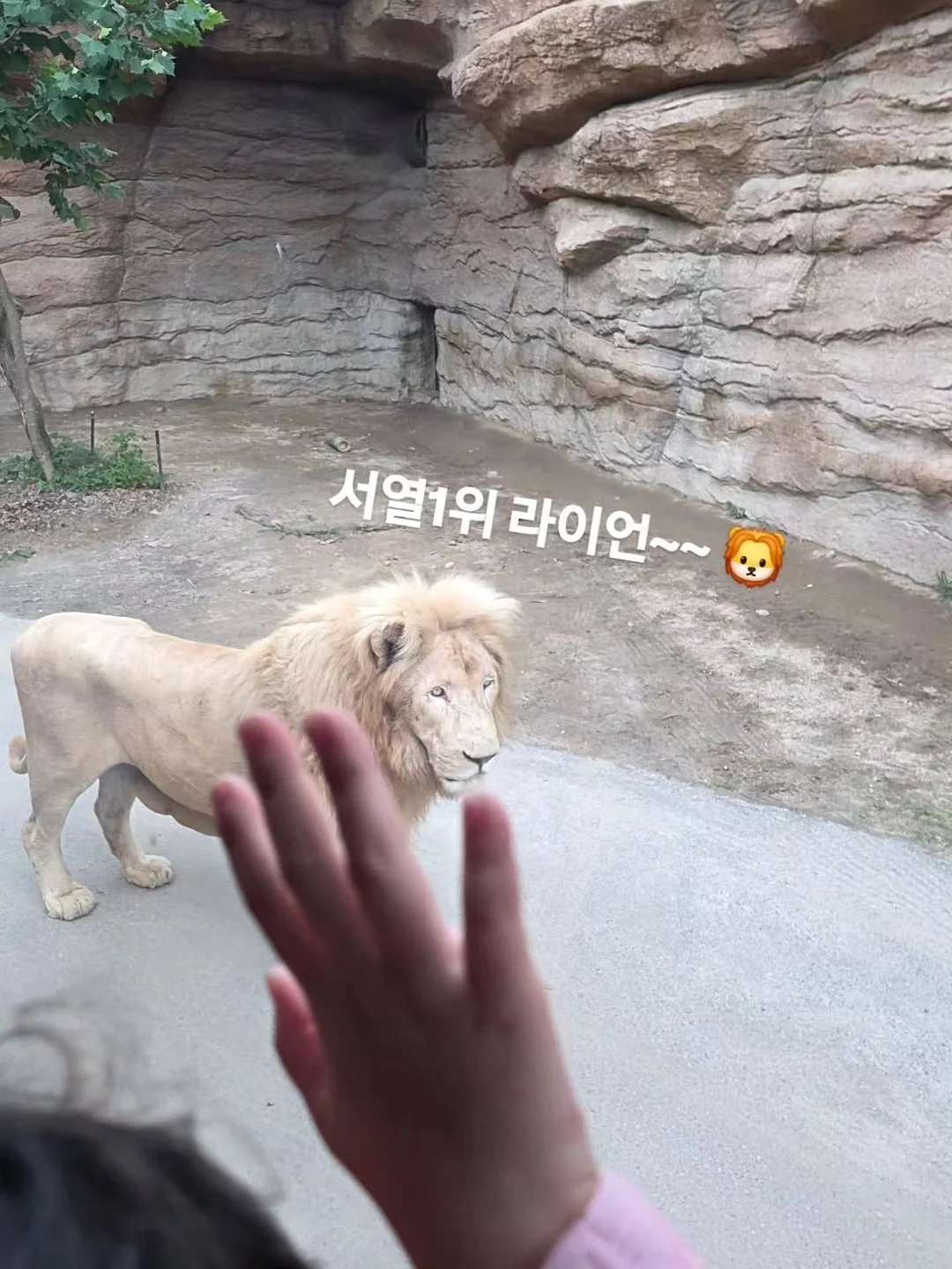 유리 조각 시간 16