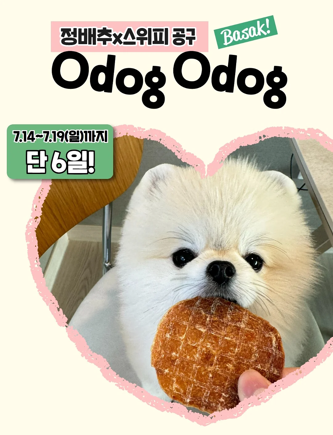 커넥츠 영단기 제휴 혜택 1