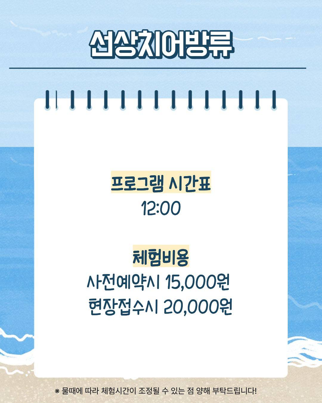 커피콩 맥세이프 톡 세트 9