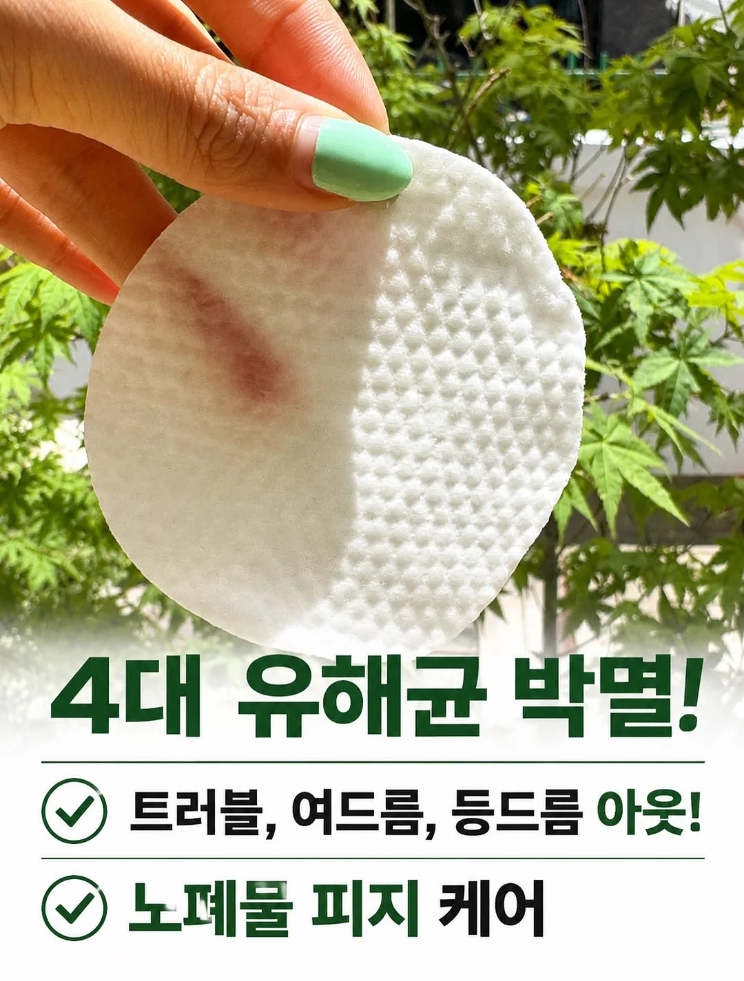 망고 파블로바 2