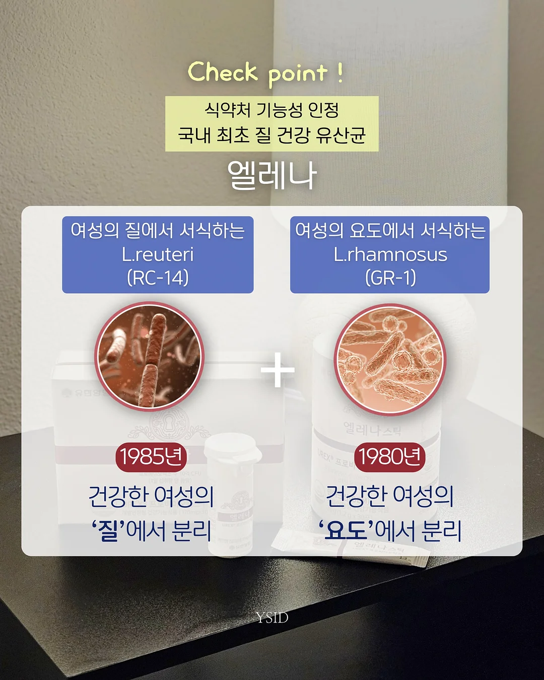 라마다 프라자 수원 쉐프스 돌상 6