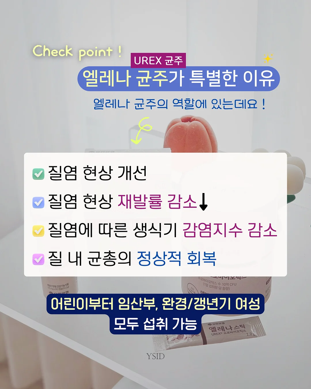 라마다 프라자 수원 쉐프스 돌상 7
