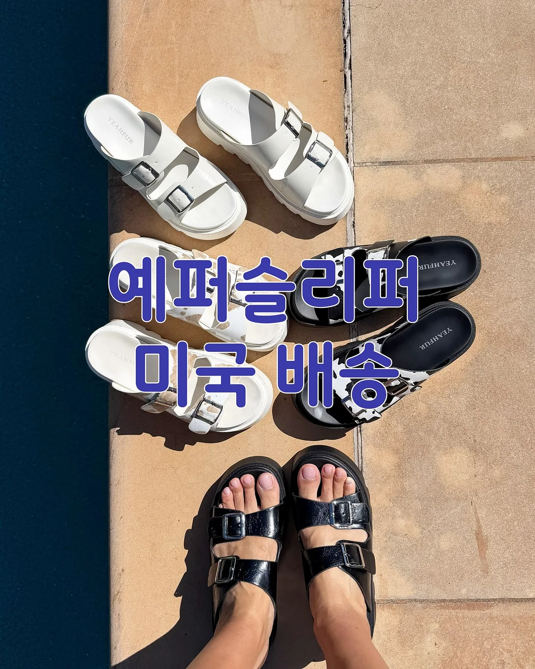 백일홍 뷔스티에 1