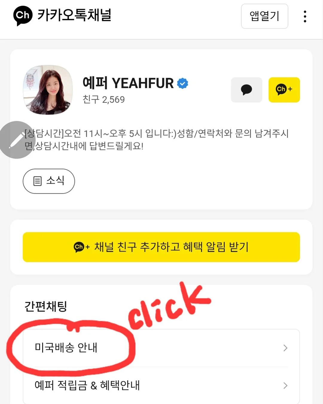 백일홍 뷔스티에 3