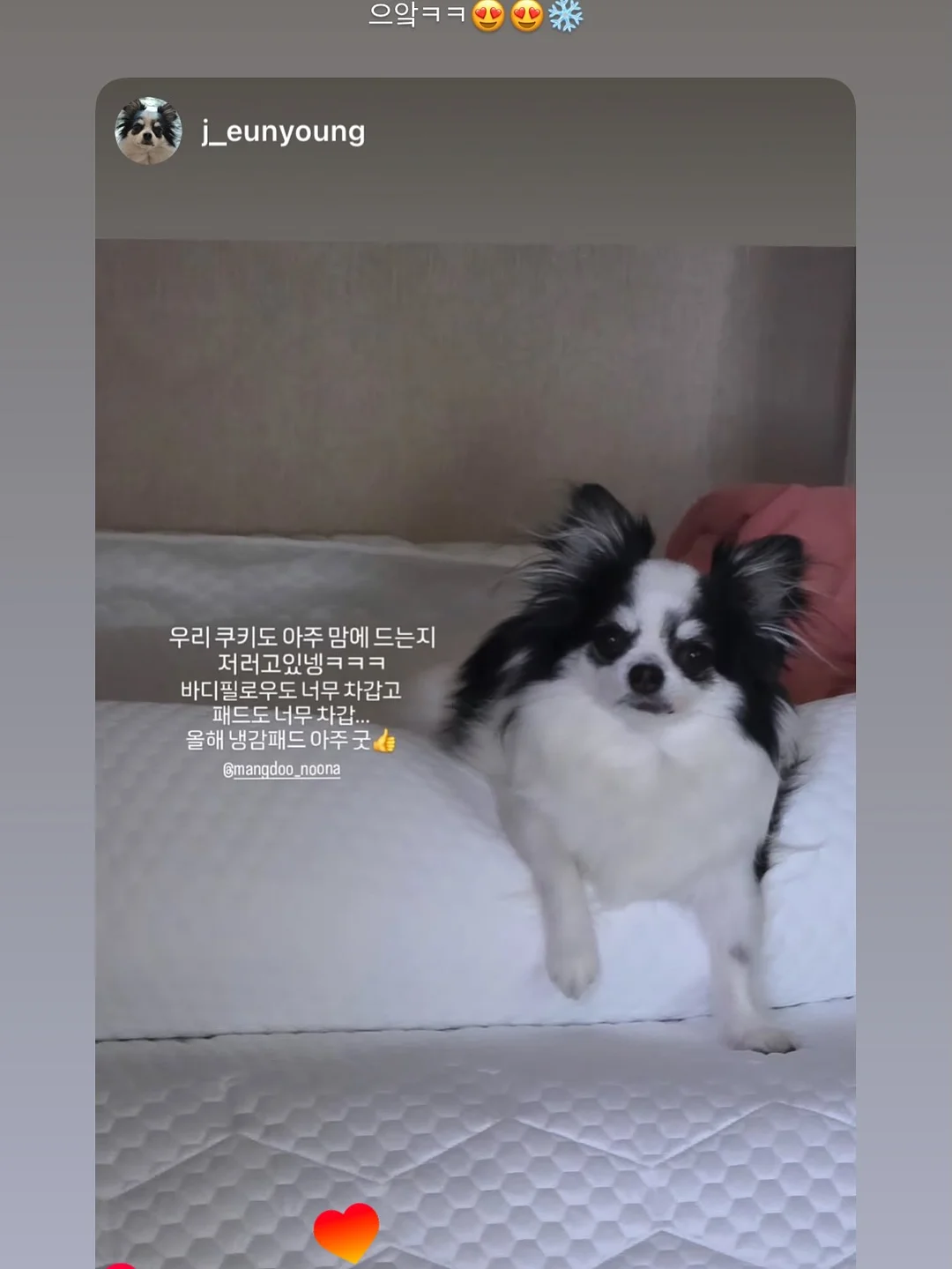 추어탕 6
