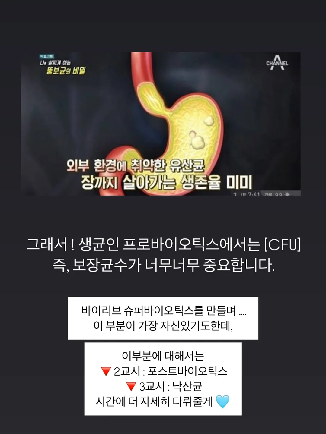 ourkeki 홀케이크 모음 12