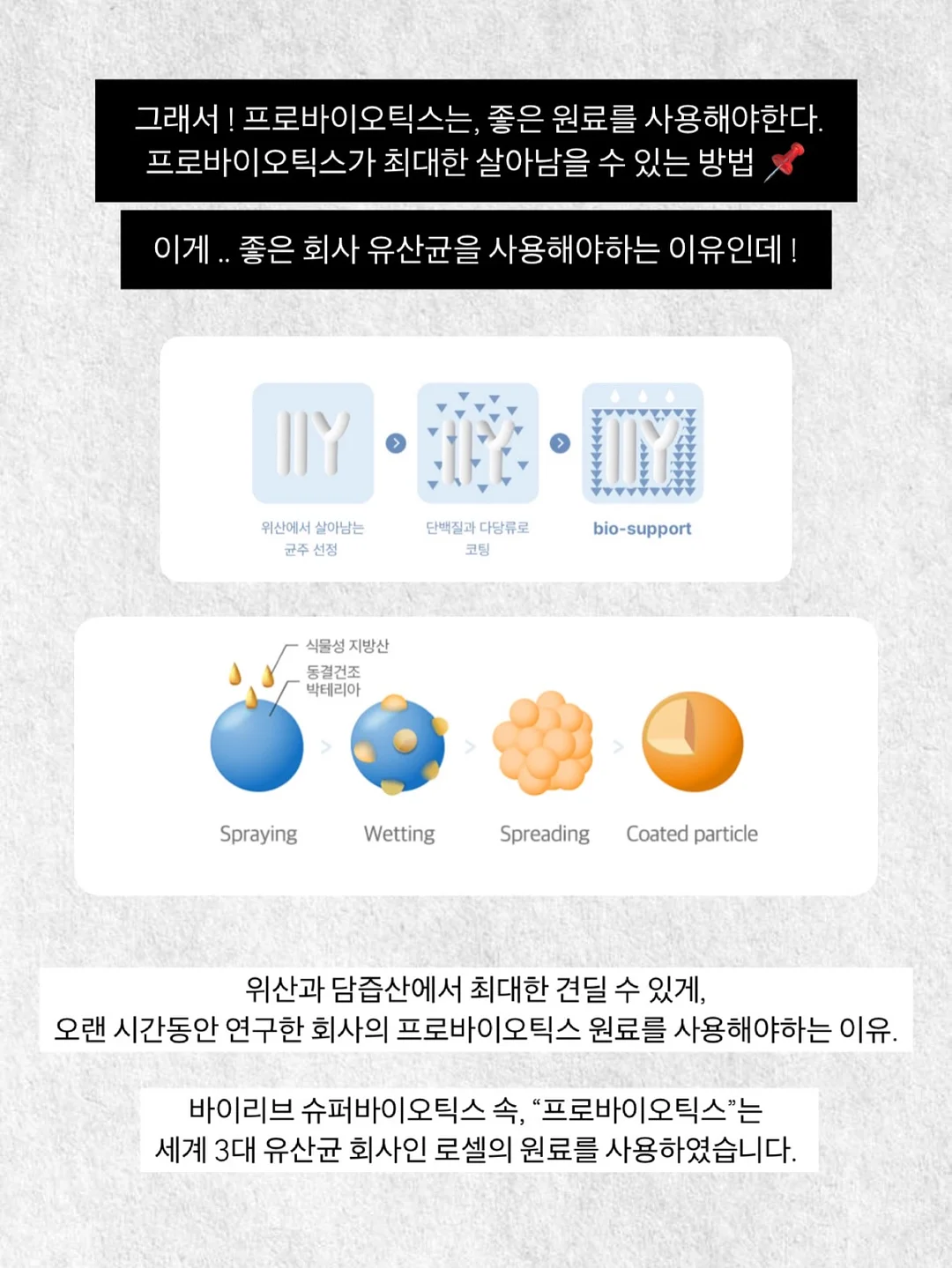 ourkeki 홀케이크 모음 13