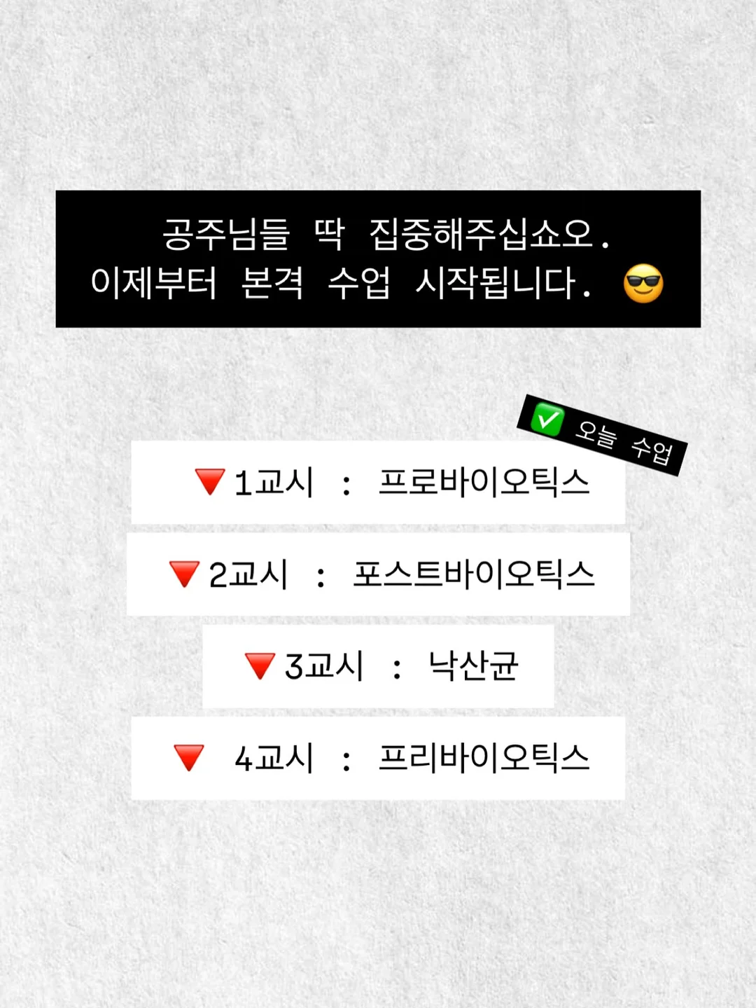 ourkeki 홀케이크 모음 2