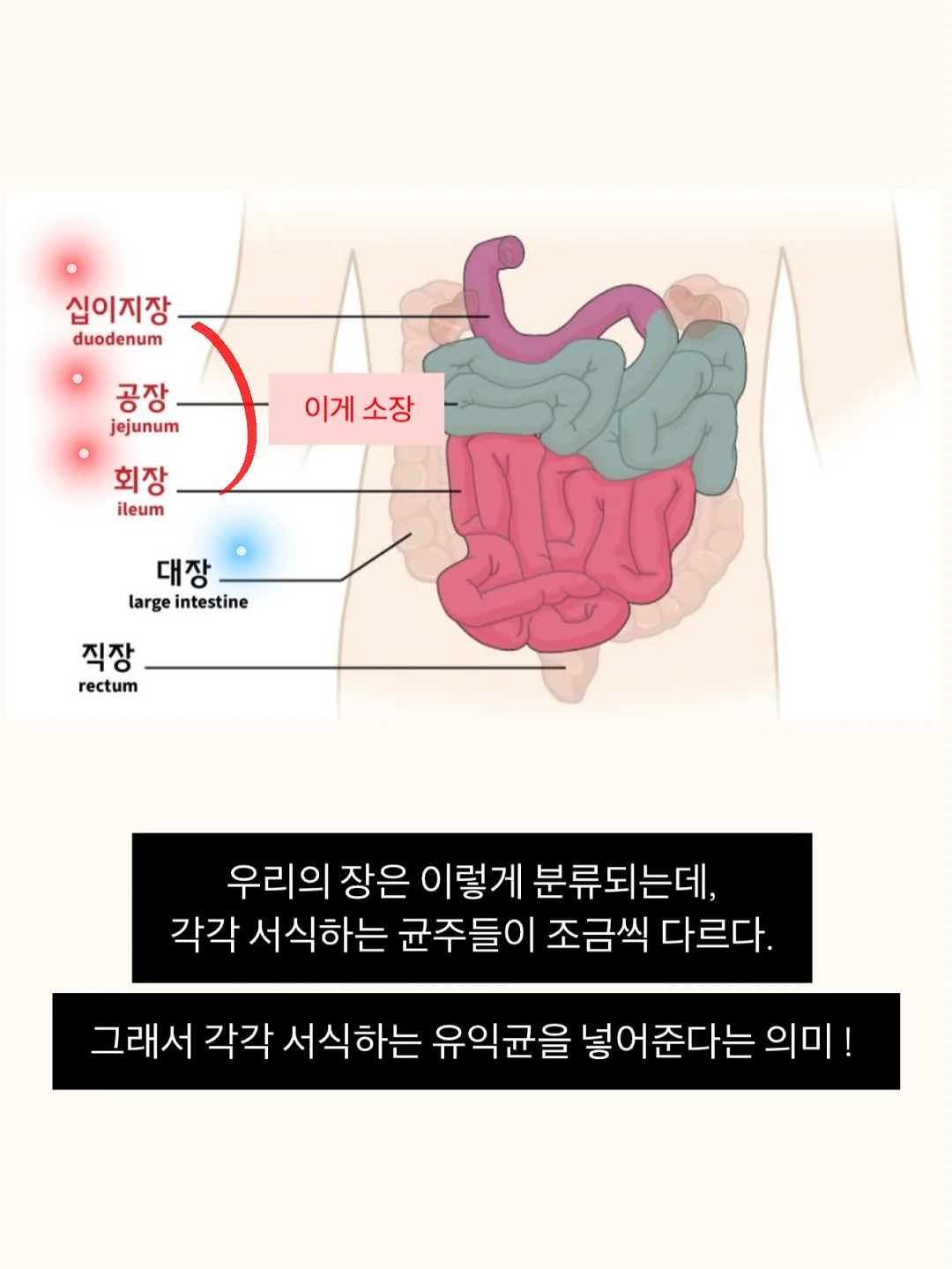 ourkeki 홀케이크 모음 8