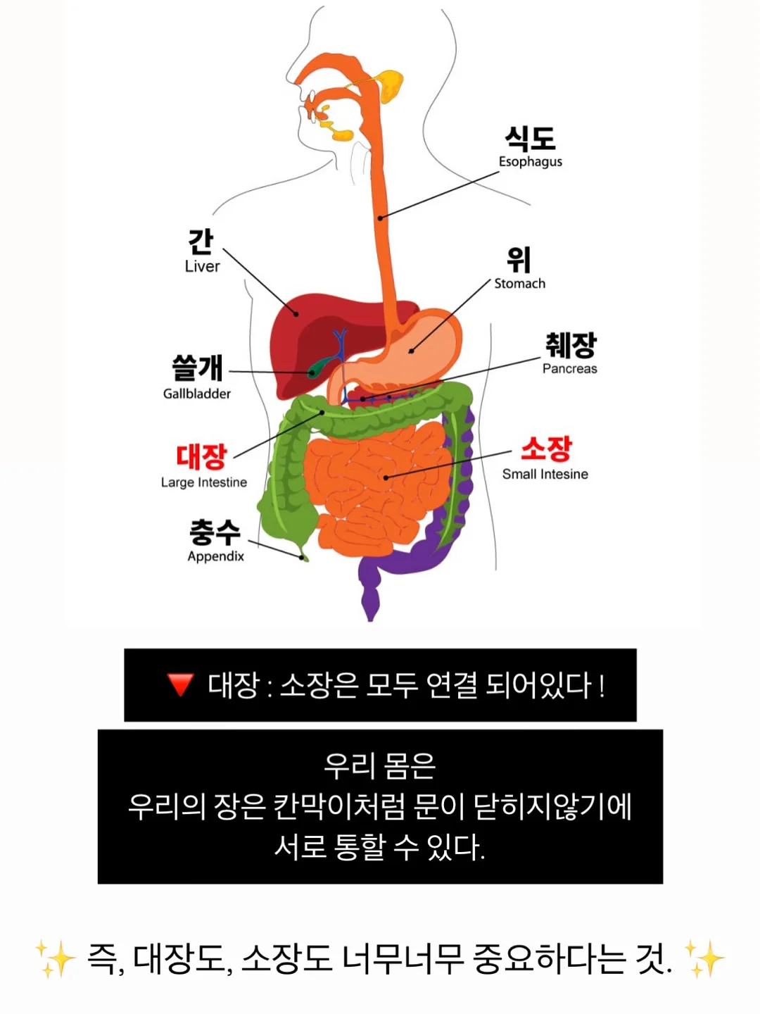 ourkeki 홀케이크 모음 9