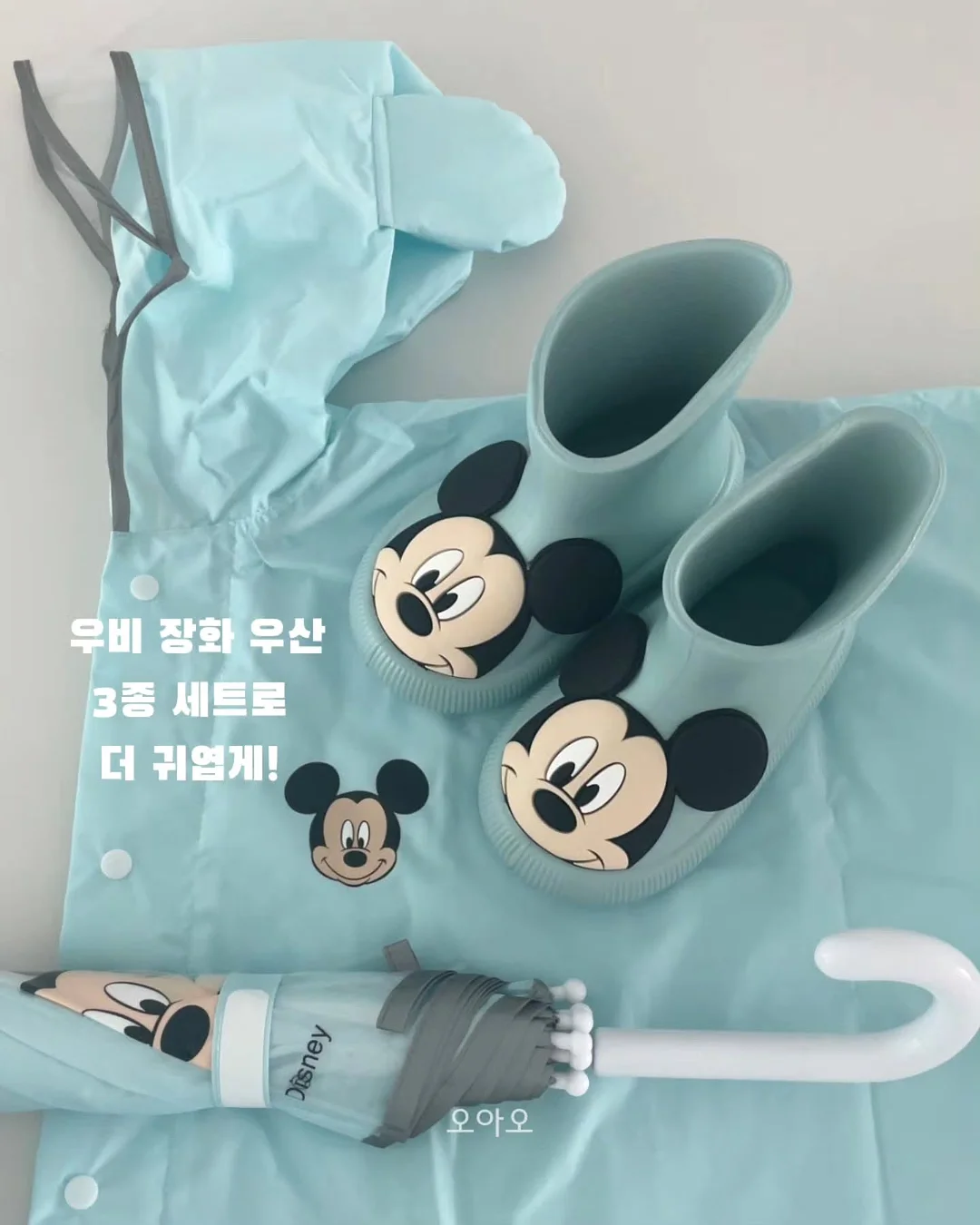 오베사 프로리페라 베이비 사이즈 15