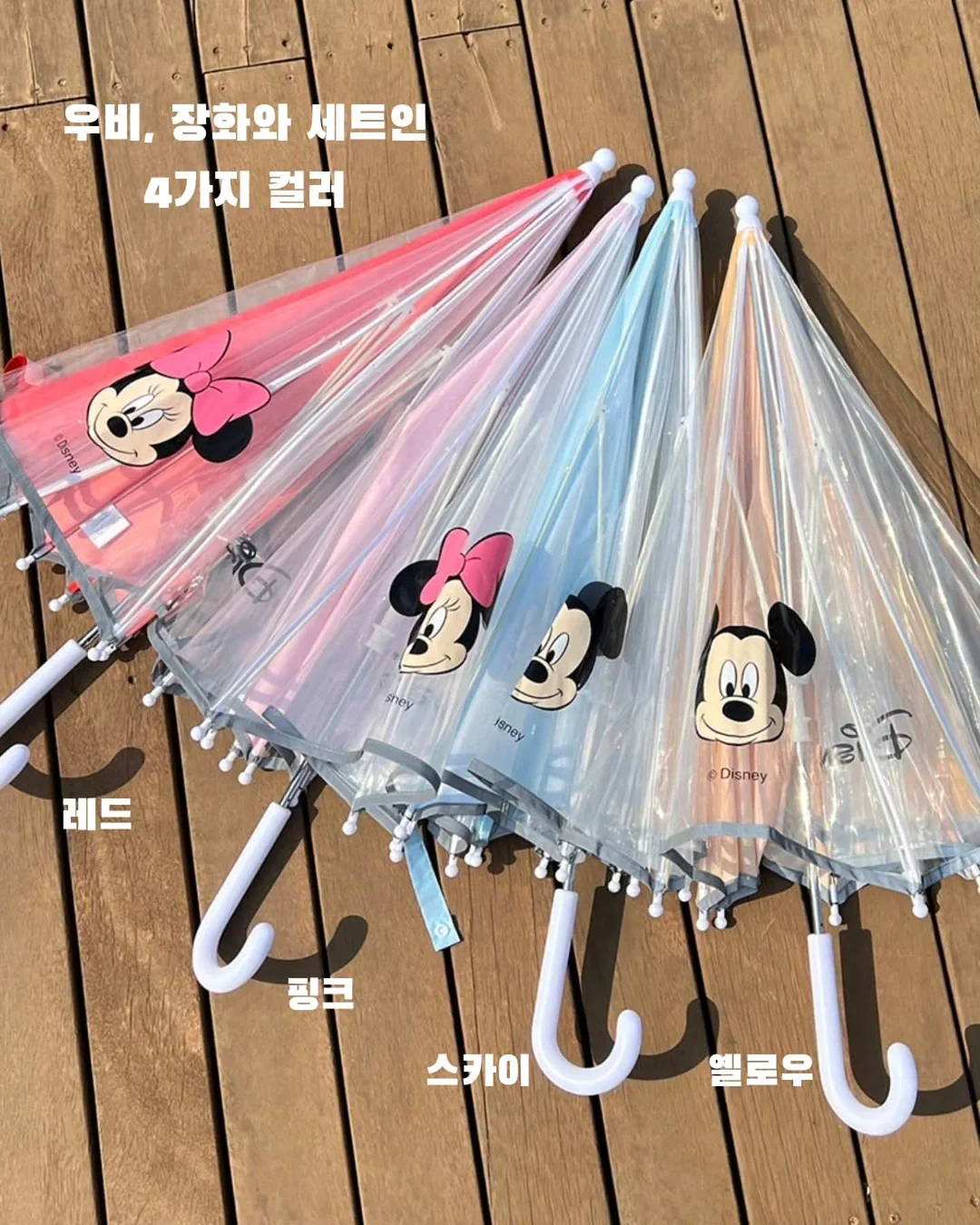 오베사 프로리페라 베이비 사이즈 2