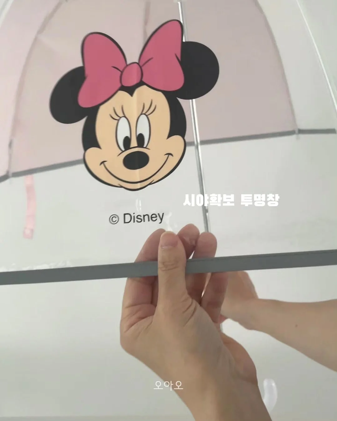 오베사 프로리페라 베이비 사이즈 4