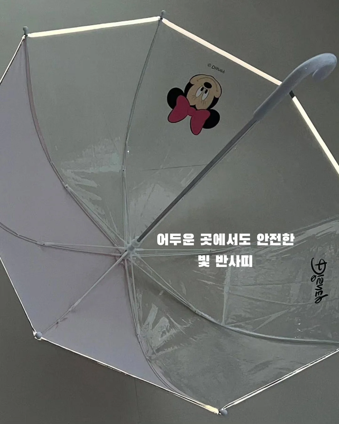 오베사 프로리페라 베이비 사이즈 6