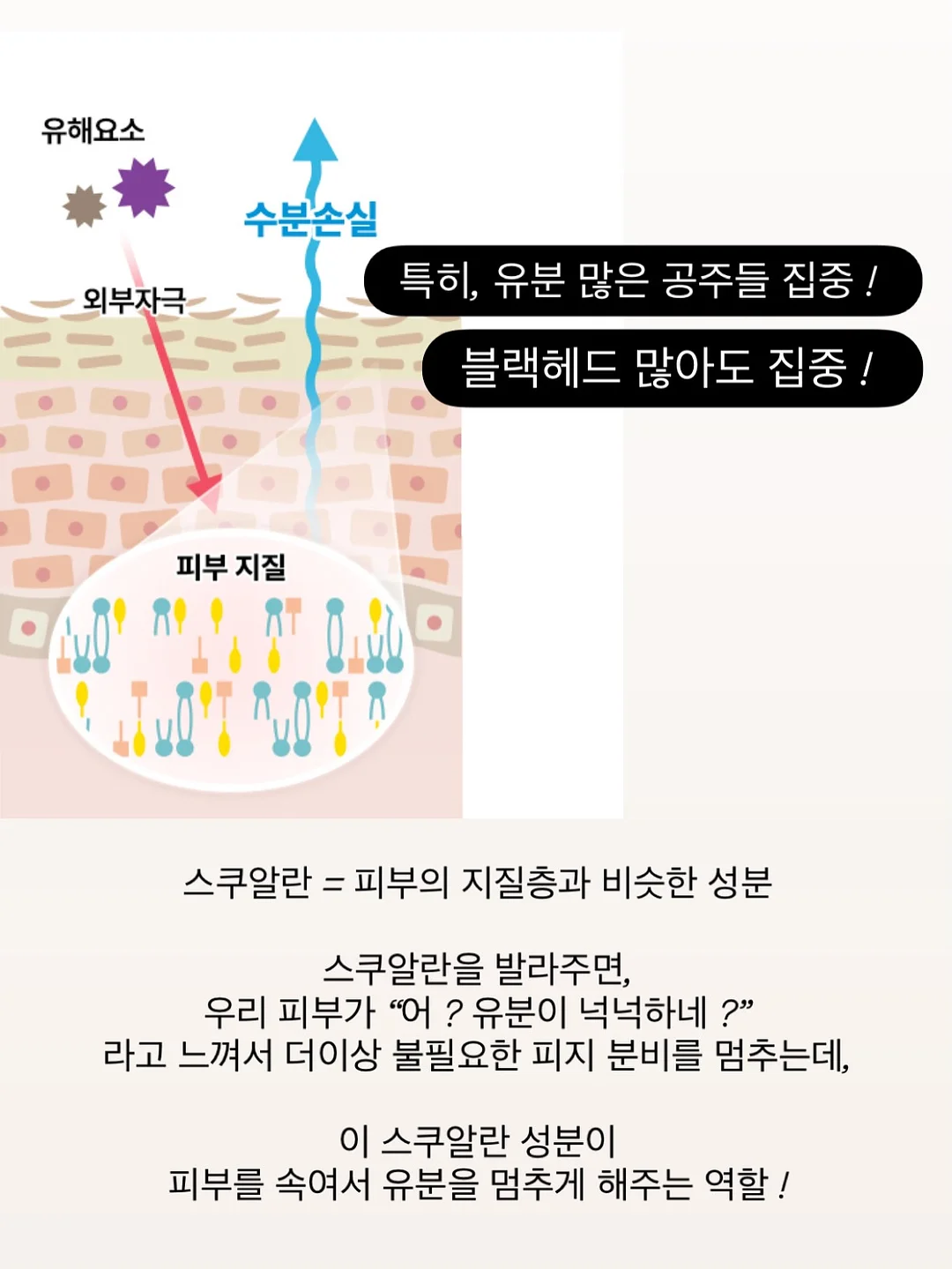 물놀이 캐치볼 세트 15