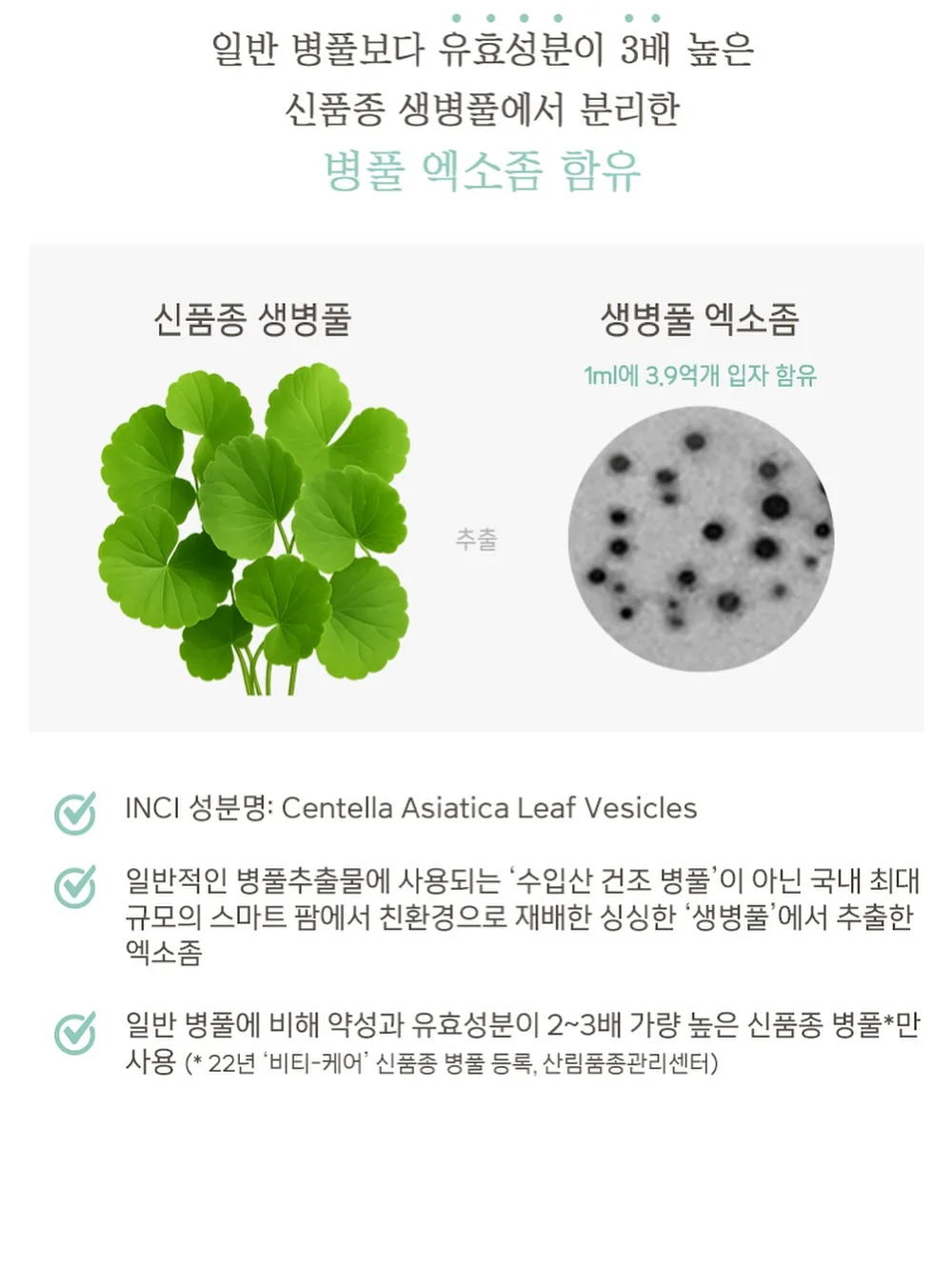 올리브영 추천템 7