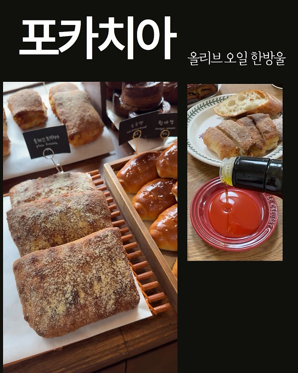 감비정 11