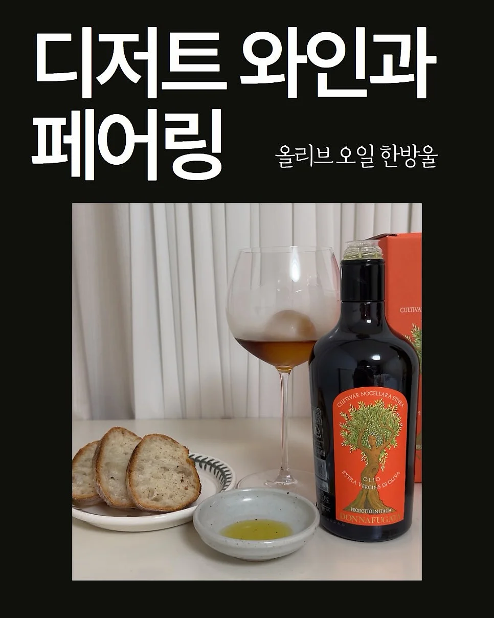 감비정 13
