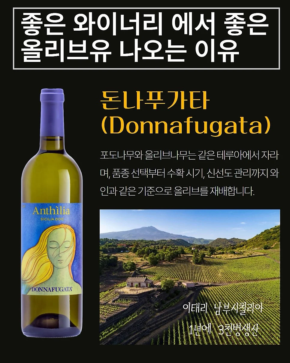 감비정 2