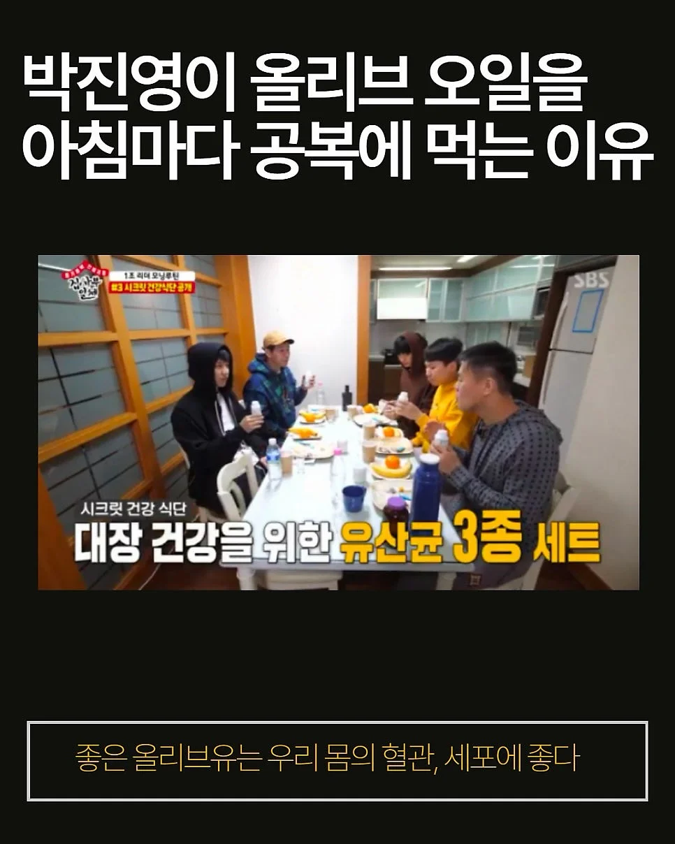 감비정 5