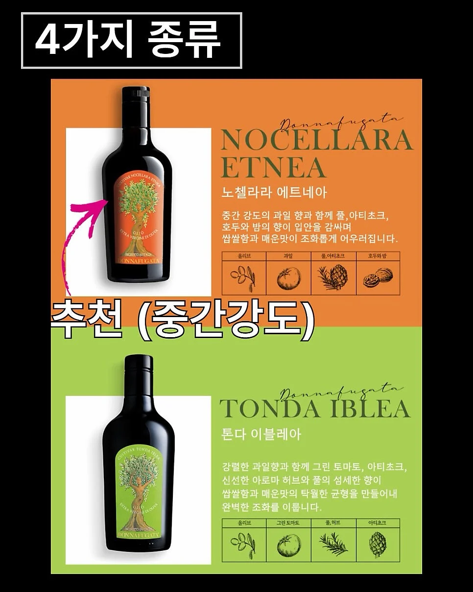 감비정 8